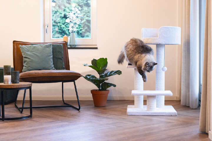 beeztees Kratzbaum Serpa